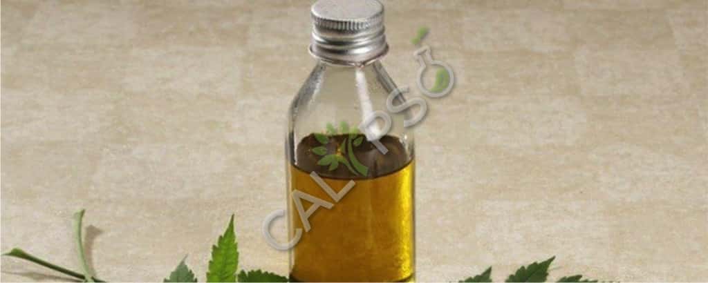 Comprar Costus Root Natural Essential Oil